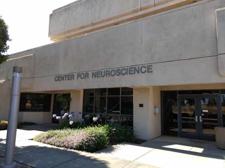 Front of CNS building
