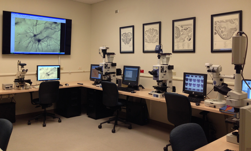 Microscopes in the Ted Jones Microscopy Lab