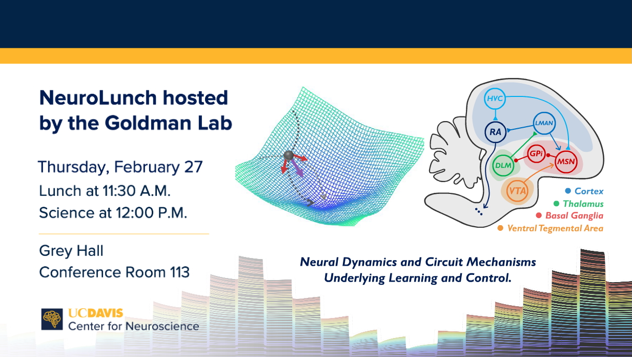 Promotional flyer for NeuroLunch hosted by the Goldman Lab at UC Davis Center for Neuroscience. The event is scheduled for Thursday, February 27, with lunch at 11:30 A.M. and the science session starting at 12:00 P.M. It will take place at Grey Hall, Conference Room 113. The topic is 'Neural Dynamics and Circuit Mechanisms Underlying Learning and Control.' The flyer includes an illustration of brain regions with labels for Cortex, Thalamus, Basal Ganglia, and Ventral Tegmental Area, as well as a 3D graph.