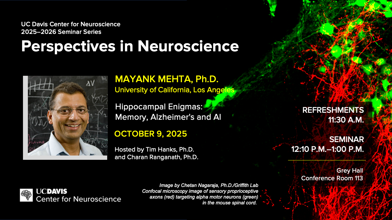 Perspectives seminar flyer