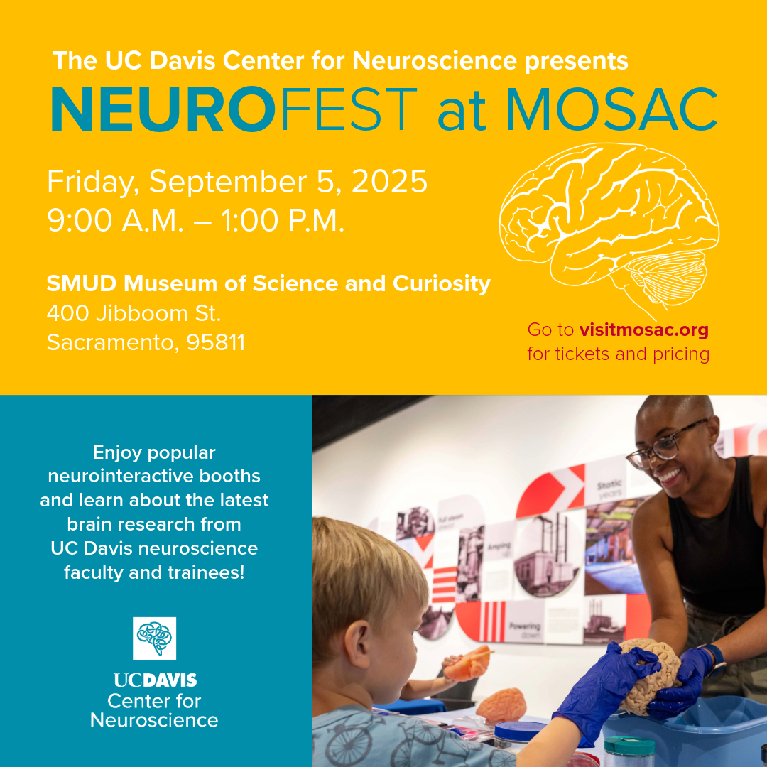 Flyer for “NeuroFest at MOSAC,” hosted by the UC Davis Center for Neuroscience on Friday, September 5, 2025, from 9:00 A.M. to 1:00 P.M. at the SMUD Museum of Science and Curiosity in Sacramento. Includes event details, a brain illustration, and a photo of a smiling presenter engaging with a child at a hands-on neuroscience booth.