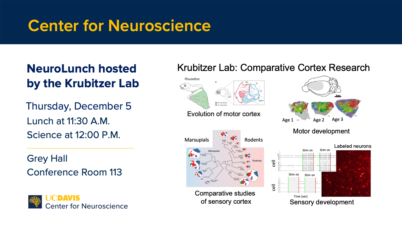 NeuroLunch flyer