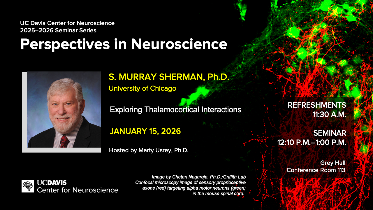 Poster of Perspectives seminar featuring Prof Sherman