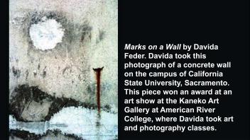 A photograph of beautiful marks on a concrete wall 