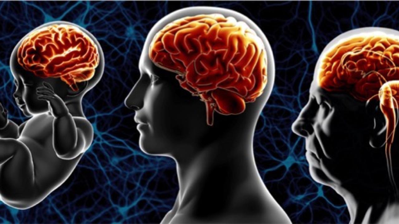 Healthy Brain Agin Initiative logo with infant, mid-age person, and old age person