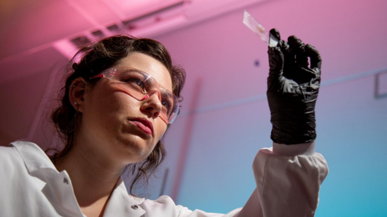Lindsay Camerson examines glass slide