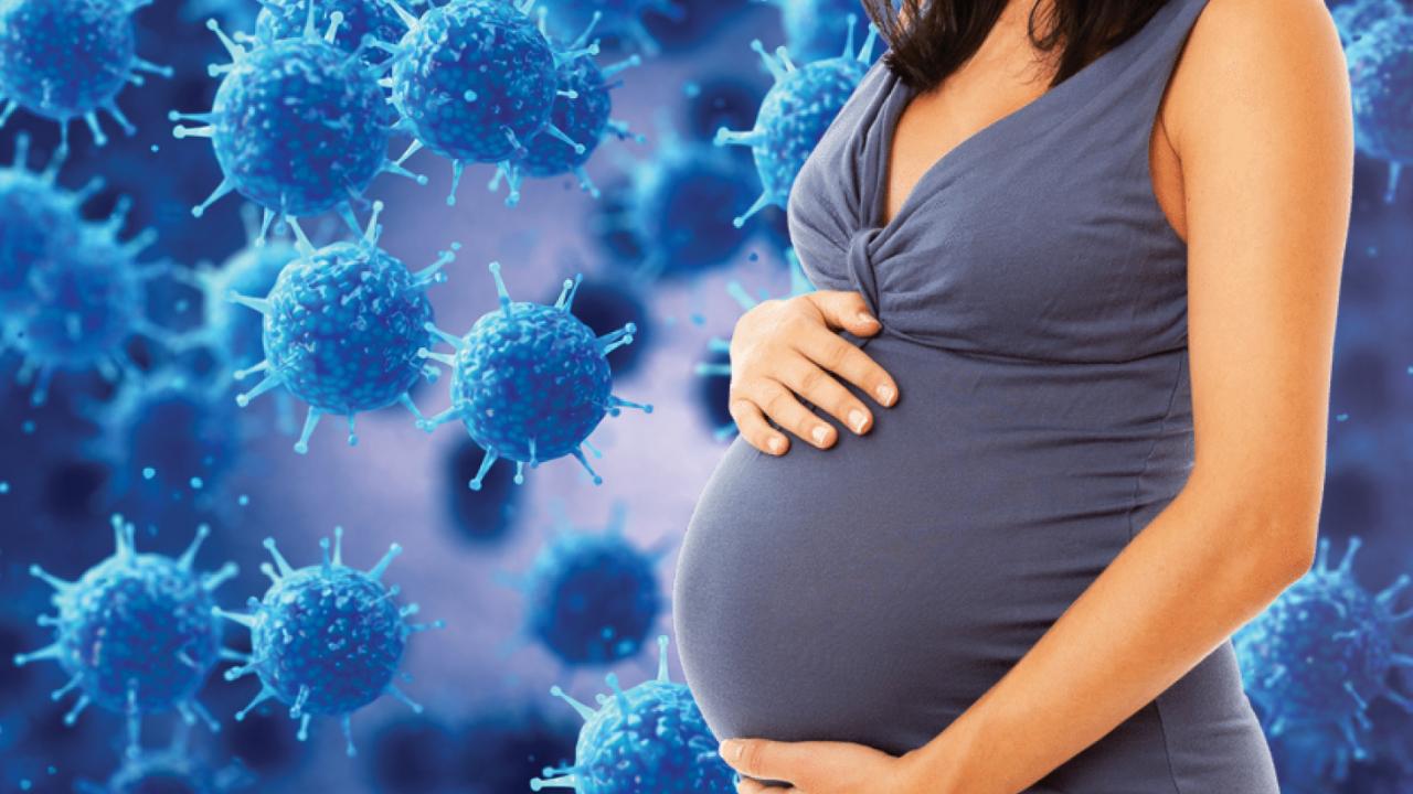 Maternal Infection & Brain Health