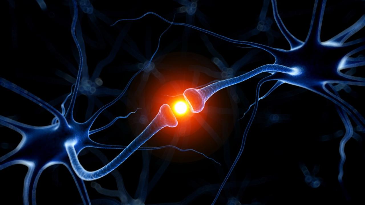Image of a synapse
