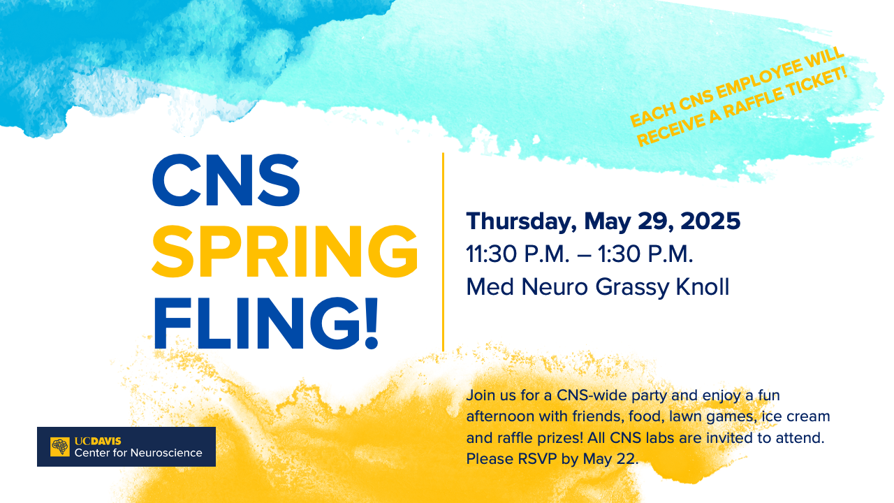 CNS Spring Fling