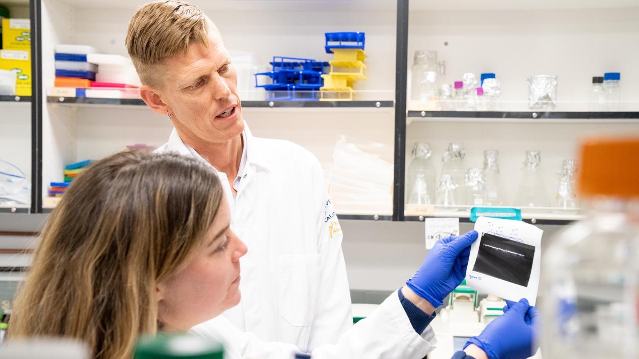 Two people are wearing white lab coats looking at data results in a research lab. 