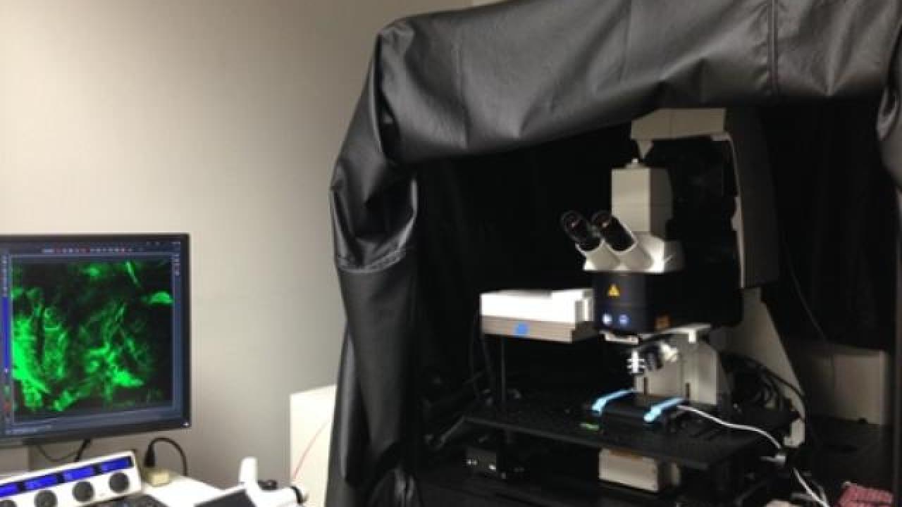 Vet Med Advanced Imaging Facility