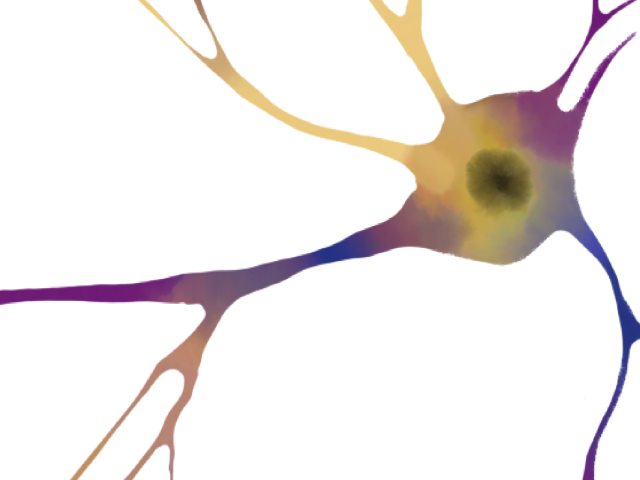 watercolor neuron