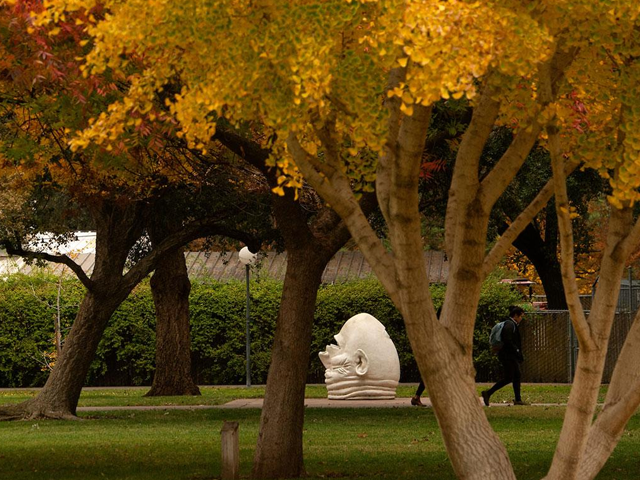 UC Davis campus