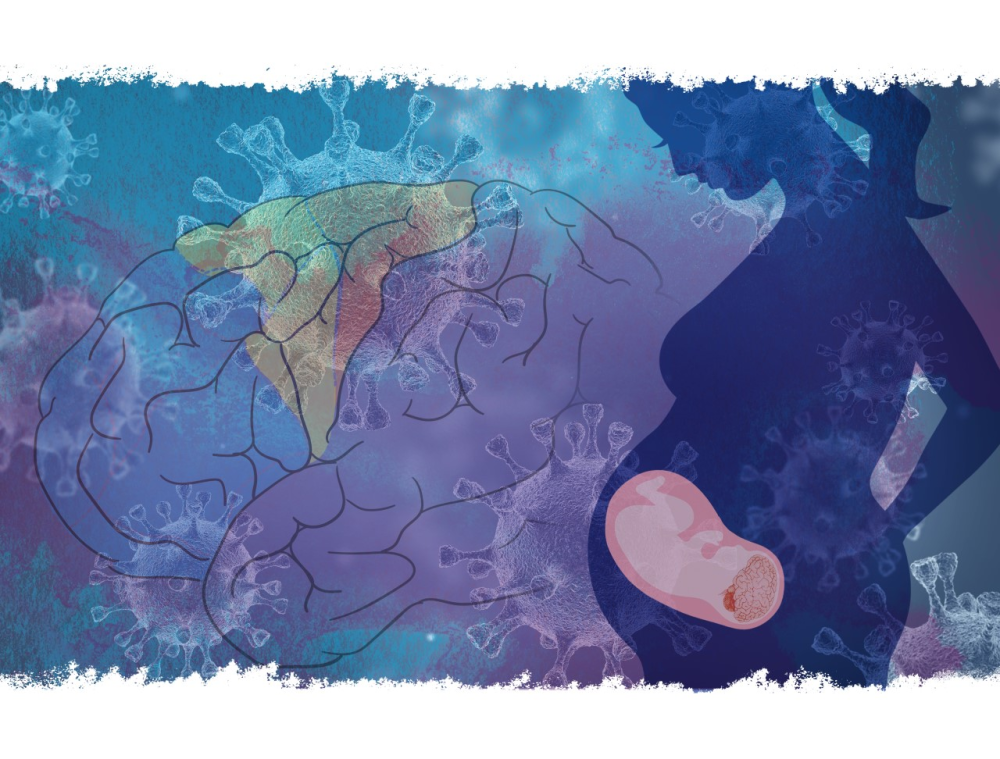 A watercolor picture of a pregnant woman with an illustration of a brain next to her
