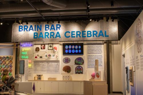 The Brain Bar, Barra Cerebral at MOSAC