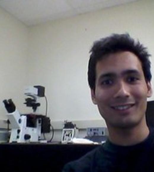 Arash NG