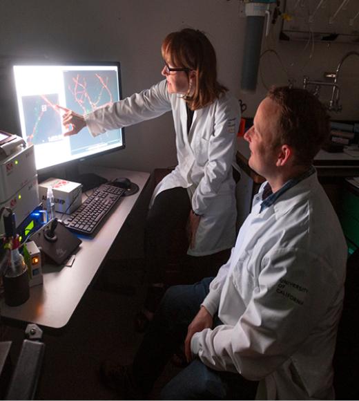 A PI and trainee looking at a neuron on a computer screen.