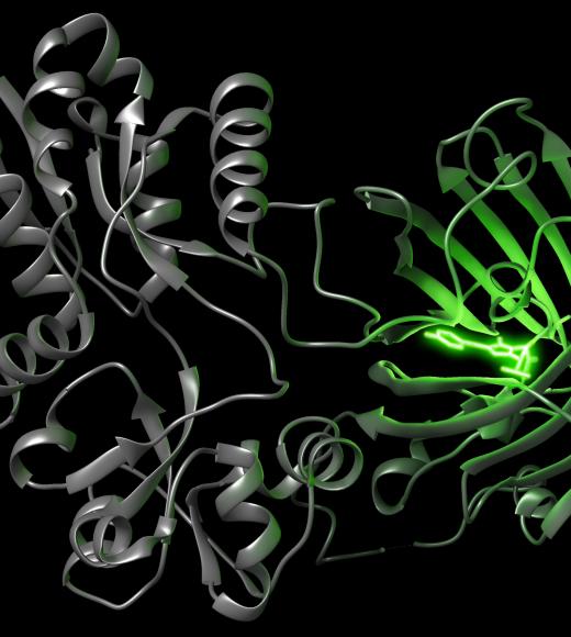 Unger Whistler Lab image