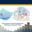 A flyer for the NeuroLunch hosted by the Goldman Lab at UC Davis Center for Neuroscience. The event will take place on Thursday, February 27, in Grey Hall, Conference Room 113. Lunch starts at 11:30 A.M., followed by the science presentation at 12:00 P.M. The title of the presentation is "Neural Dynamics and Circuit Mechanisms Underlying Learning and Control." The flyer includes a diagram showing neural circuitry labeled with regions such as Cortex, Thalamus, Basal Ganglia, and Ventral Tegmental Area, and a