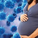 Pregnant woman with coronavirus in the background