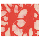 Abstract neurons