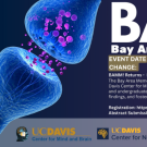 BAMM flyer