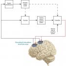 uc-davis-neuroengineering-brain-stimulators-cognition