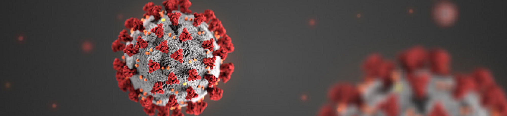 Coronavirus
