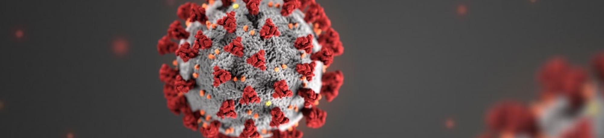 Coronavirus