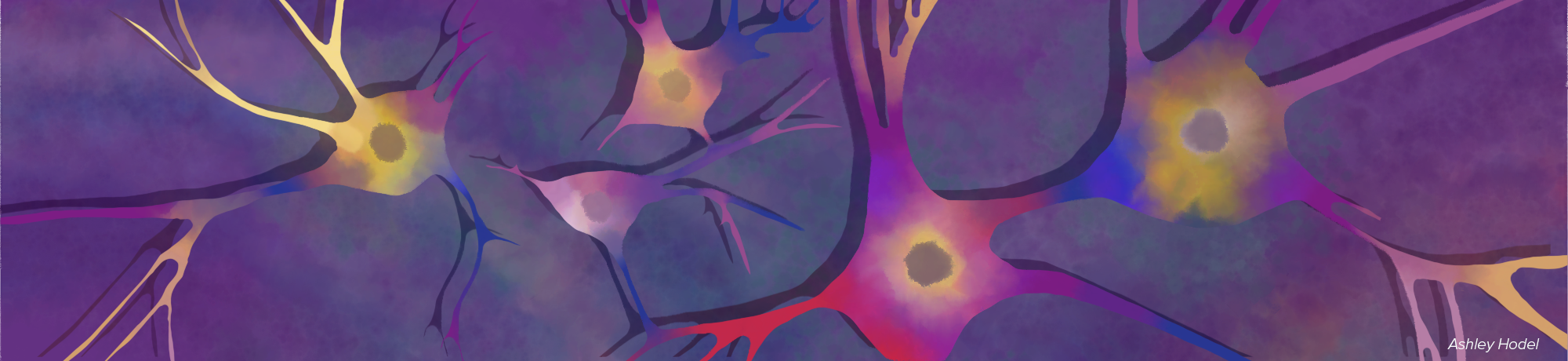 Watercolor neurons